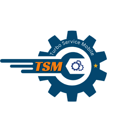 TSM Tool Rent [ 12 Hours ] - S1